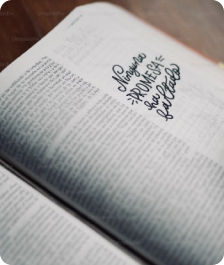 faculty members image